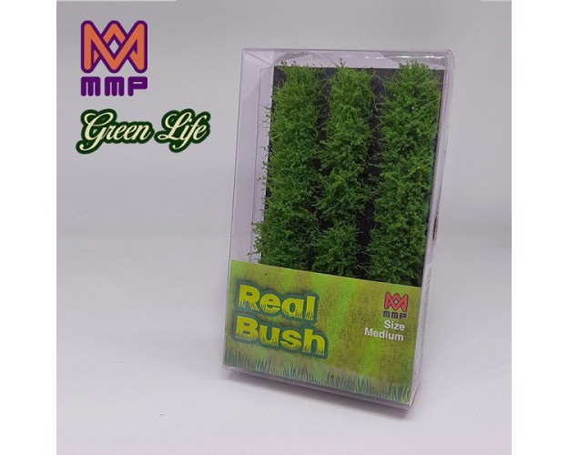SUMMER GREEN