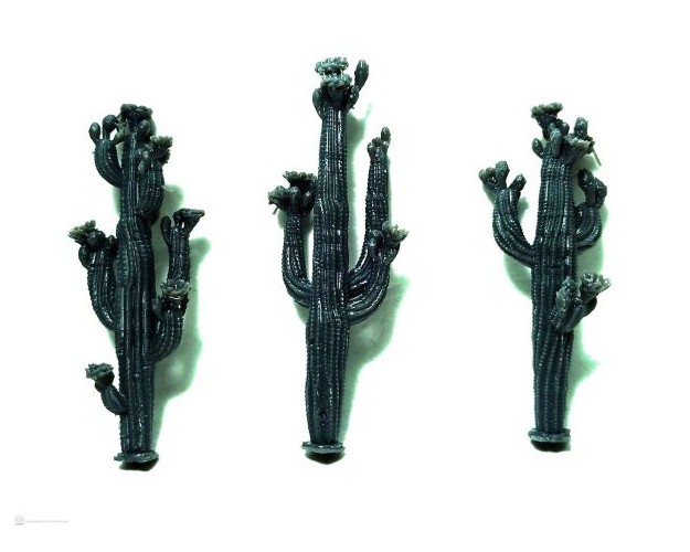 Set de 3 cactus con flor.