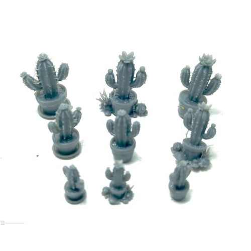 Set de 9 cactus pequeños en maceta