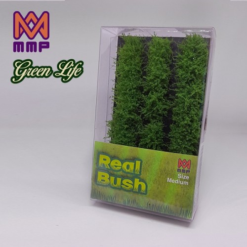 SUMMER GREEN