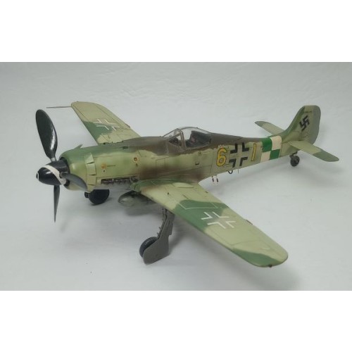 FOCKE-WULF FW-190 D9 - 1/48