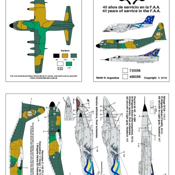 40 años de servicio en la FAA